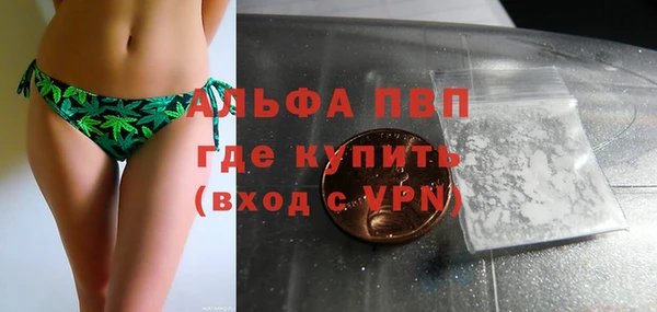 молекула духа Богородицк
