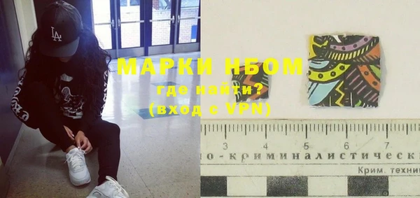 молекула духа Богородицк