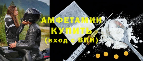 молекула духа Богородицк