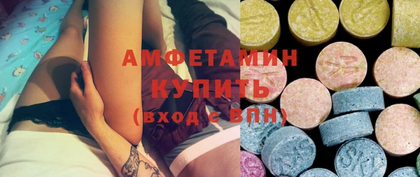 молекула духа Богородицк