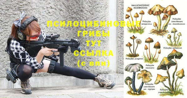молекула духа Богородицк