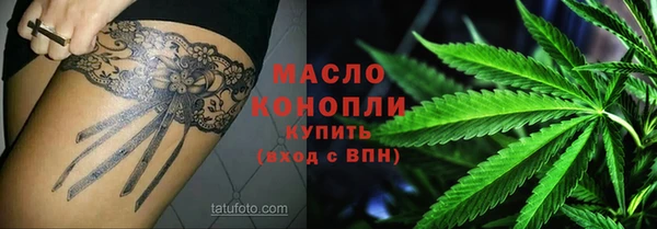 молекула духа Богородицк