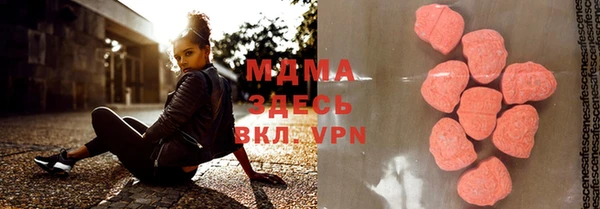 молекула духа Богородицк