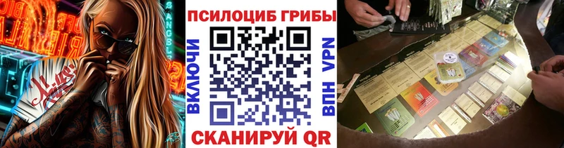 хочу наркоту  Миллерово  ссылка на мегу как войти  Галлюциногенные грибы Psilocybine cubensis 